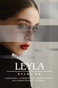 Лейла 14 серия